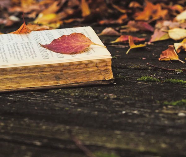 open book with leaves by Taylor Wright (detail)