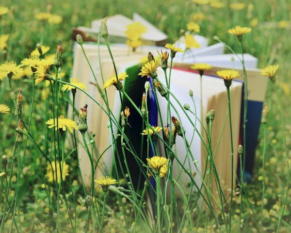 book in flowers by congerdesign (detail)