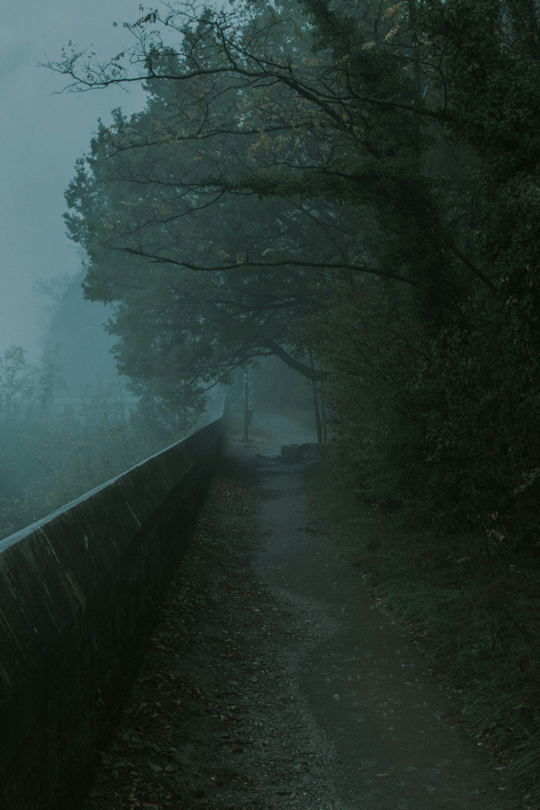 concrete path in the fog by Florian Olivo