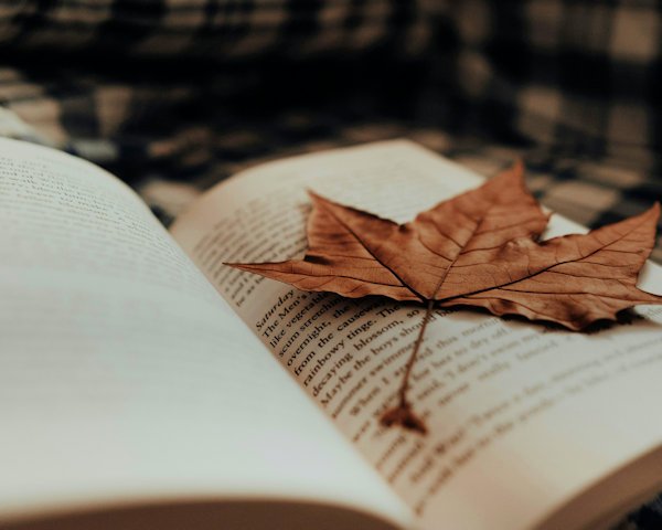 Book with Leaf by Rhamely (detail)