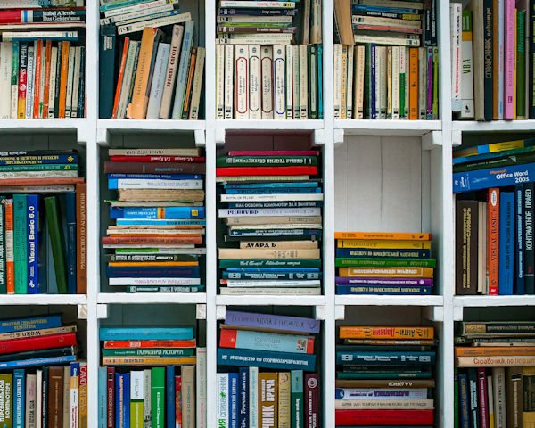 bookshelf with gap by Aleksei Ieshkin (detail)