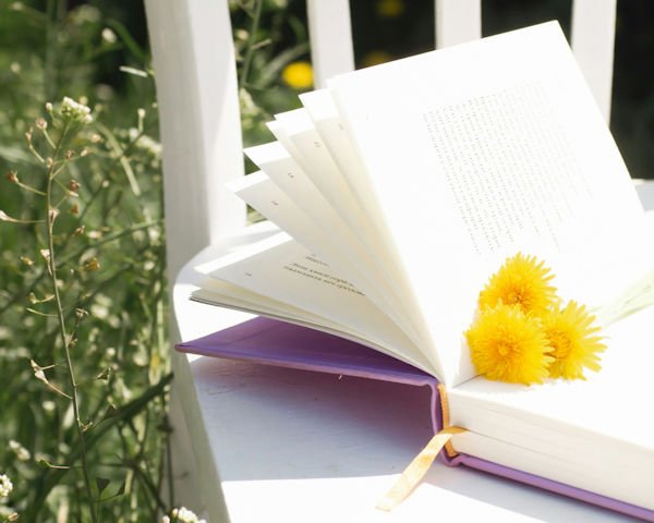 open book with dandelion by Ruslan Sikunov (detail)