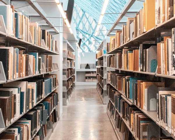 library shelves by Shunya Koide (detail)