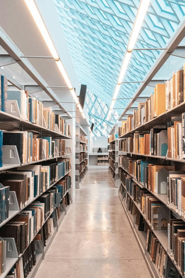 library shelves by Shunya Koide (small)