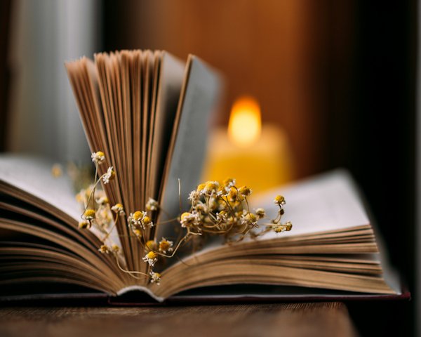 Book with Dried Flowers by Kristina Shvedenko (detail)