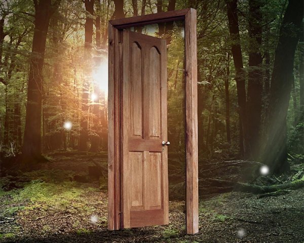 Every Heart A Doorway (detail)