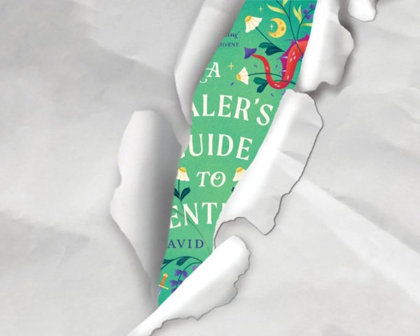 A Healers Guide to Adventure (cover reveal detail)